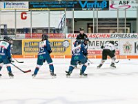 DSC02533 1000 jpg