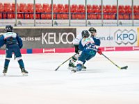DSC02543 1000 jpg