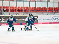 DSC02546 1000 jpg