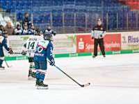 DSC02604 1000 jpg