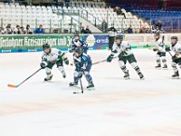 DSC02605 1000 jpg