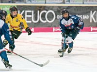 DSC03442-1000