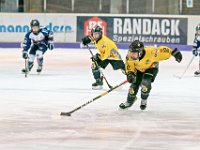 DSC03445-1000