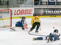 DSC03447-1000