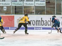 DSC03452-1000