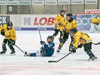 DSC03465-1000