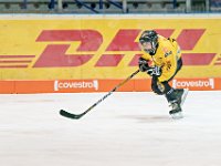 DSC03470-1000