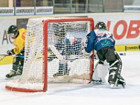 DSC03474-1000