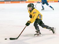 DSC03480-1000