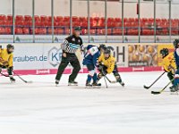 DSC03495-1000