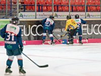 DSC03505-1000