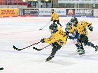DSC03511-1000