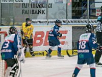 DSC03516-1000