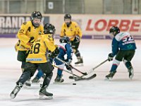 DSC03517-1000