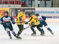 DSC03521-1000