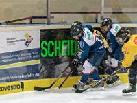 DSC03526-1000
