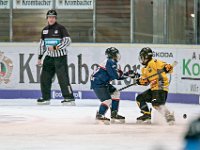 DSC03531-1000