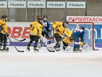 DSC03535-1000