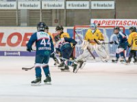 DSC03545-1000