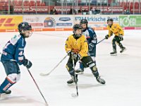 DSC03550-1000