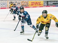 DSC03553-1000