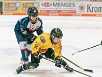 DSC03563-1000