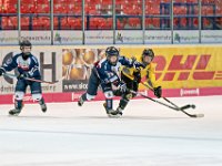DSC03567-1000