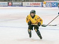 DSC03578-1000