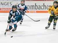 DSC03583-1000