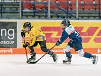 DSC03589-1000