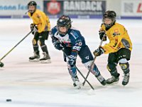 DSC03592-1000