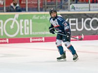 DSC03595-1000