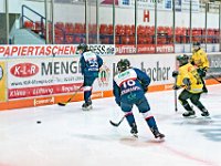 DSC03602-1000