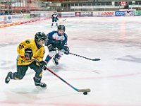 DSC03605-1000