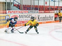 DSC03611-1000
