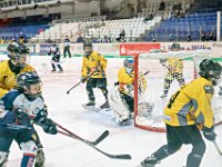 DSC03614-1000