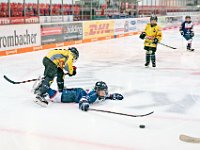 DSC03623-1000