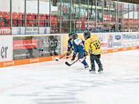 DSC03625-1000
