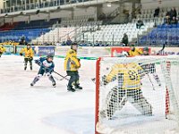 DSC03631-1000