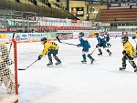 DSC03639-1000