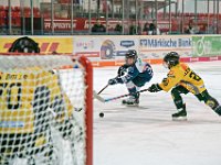DSC03668-1000