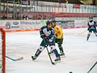 DSC03674-1000
