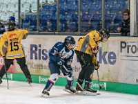 DSC03681-1000