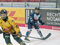 DSC03685-1000