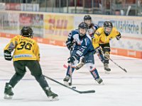 DSC03688-1000