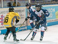 DSC03694-1000