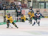 DSC03702-1000