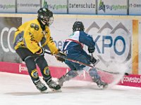 DSC03723-1000