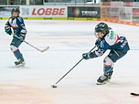 DSC03727-1000