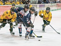 DSC03739-1000